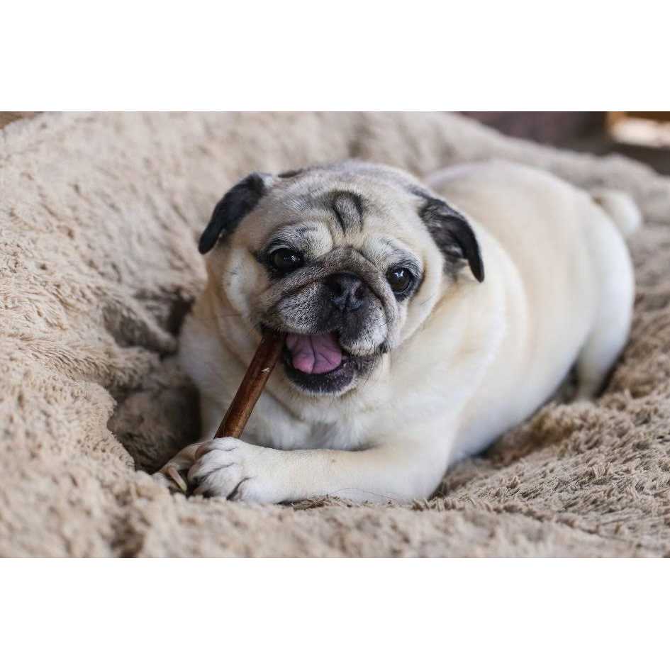 Natural Beef Bully Sticks Y8757