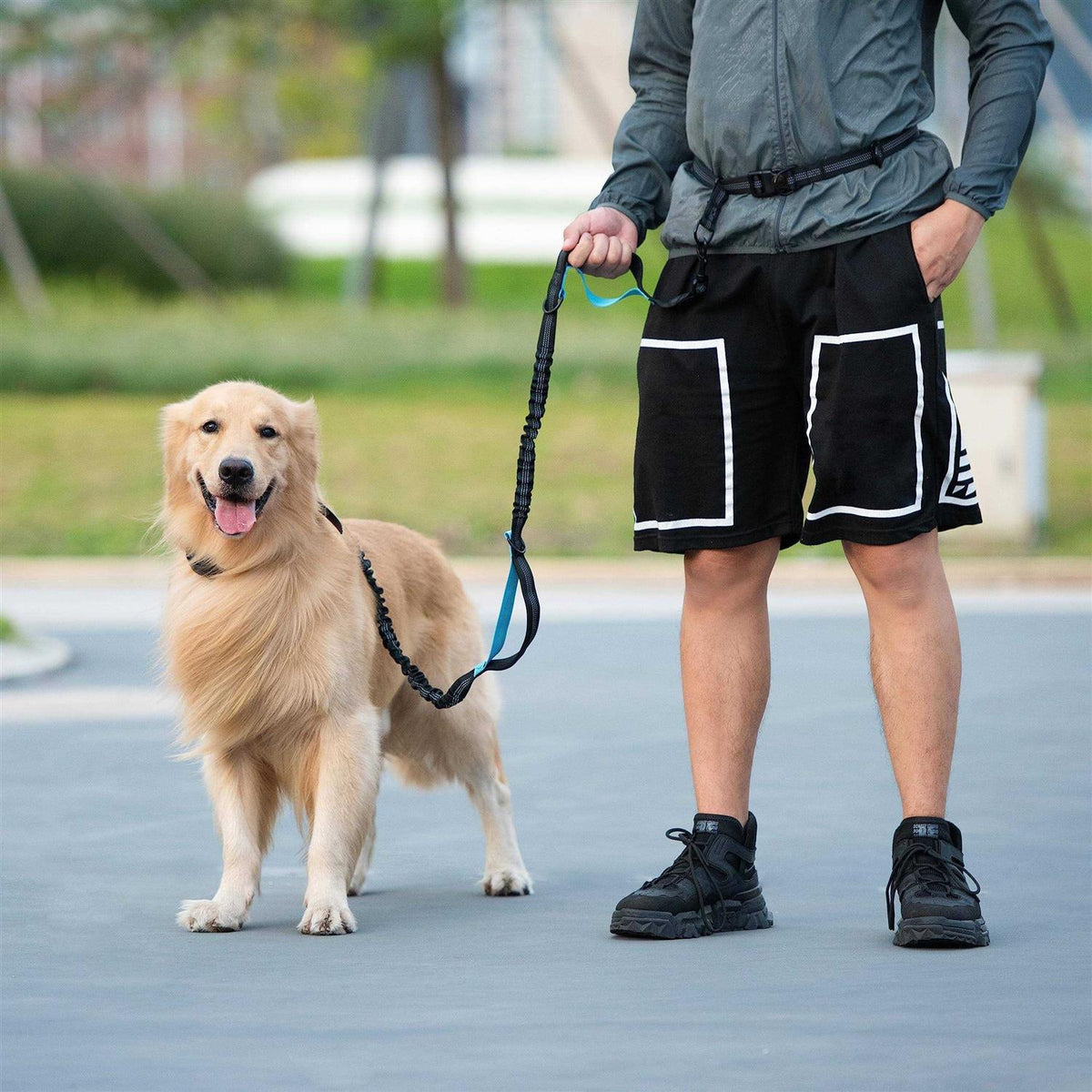 Hands Free Dog Leash with Zipper Pouch, Dual Padded Handles and Durable Bungee V2323