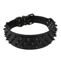 Black Spiked Studded Dog Collar A722