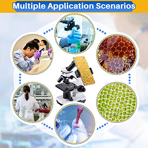 100X-2000X Compound Microscope with Microscope Slides A60401