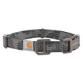 Dog Collar B170751