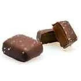 Dark Chocolate Sea Salt Caramel Squares 10lb J354