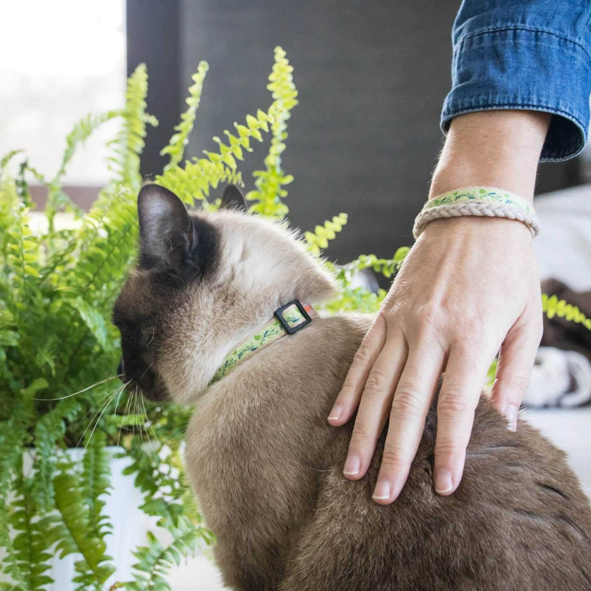 Cat Collar Breakaway D238506