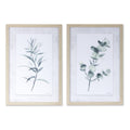 Eucalyptus Print Set of 2 Plastic MDF X78509