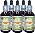 Organic Dried Maidenhair Fern Alcohol-Free Liquid Extract 5x2 fl.oz Q851