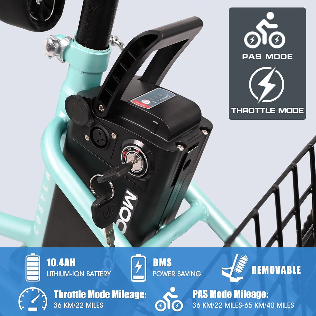 3 Wheel Electric Bike with Removable 36V 10Ah Lithium Battery D931526