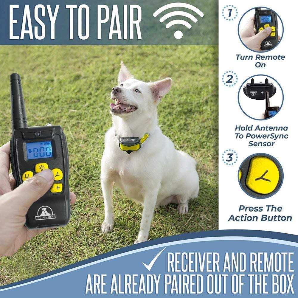 Dog Training Shock Collar with Remote Q34916