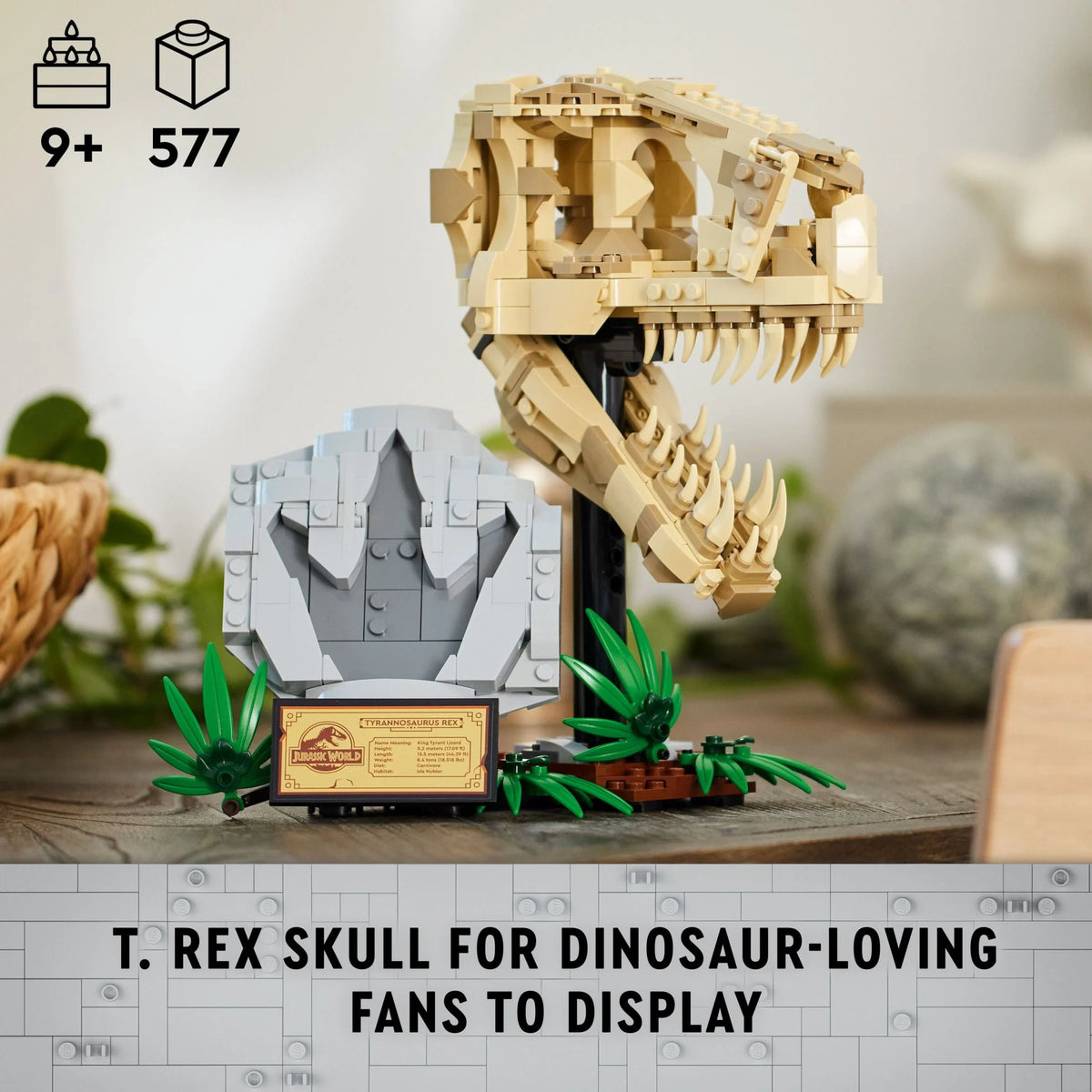 Dinosaur Fossils T. rex Skull Skeleton Model Set G23984