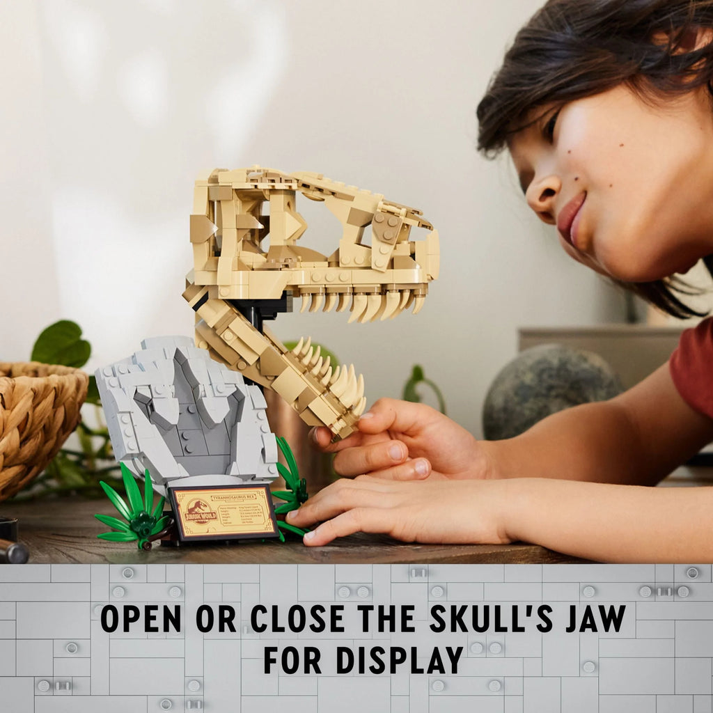 Dinosaur Fossils T. rex Skull Skeleton Model Set G23984