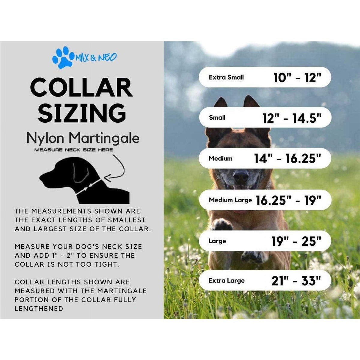 Nylon Martingale Collar J46402