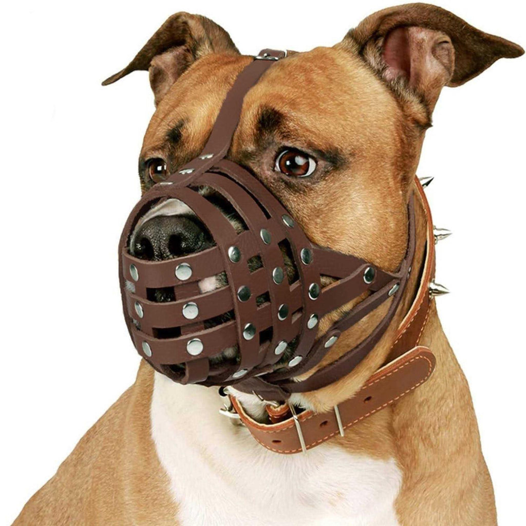 Dog Muzzle Genuine Leather N454445