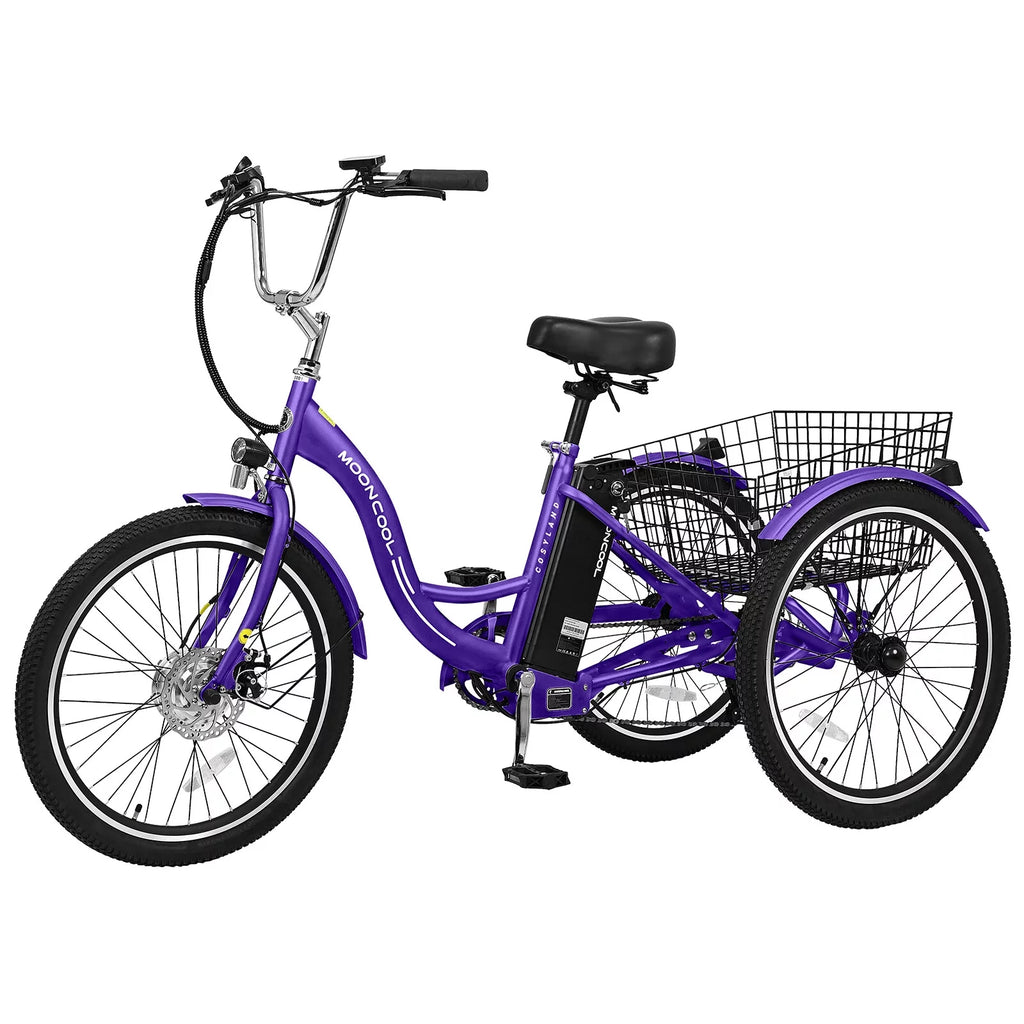 3 Wheel Electric Bike with Removable 36V 10Ah Lithium Battery D931526