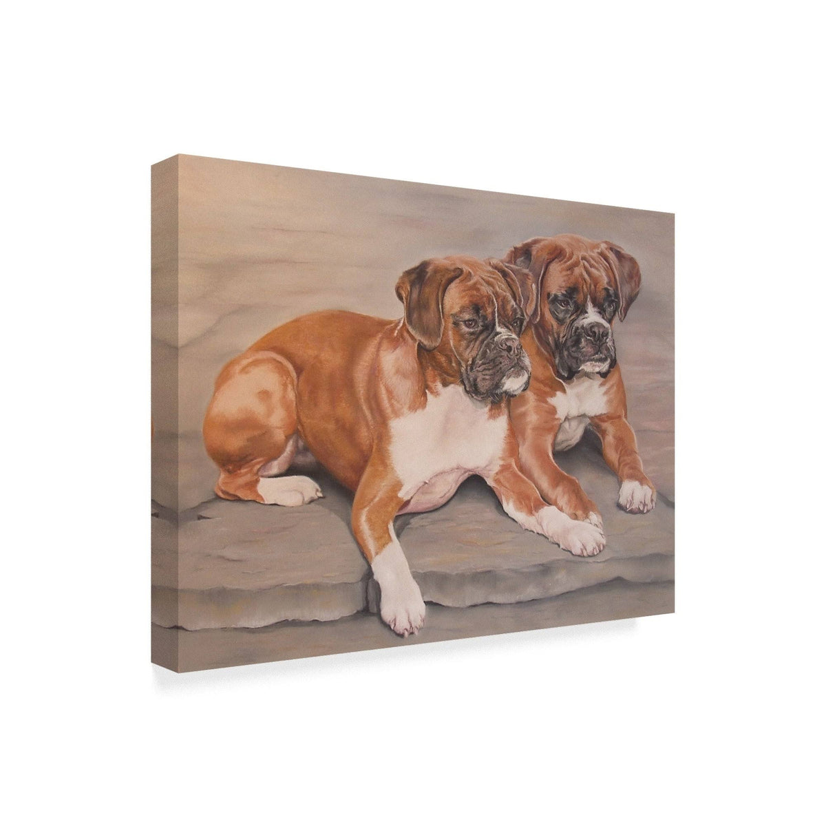Two Boxer Dogs Canvas Art F6736