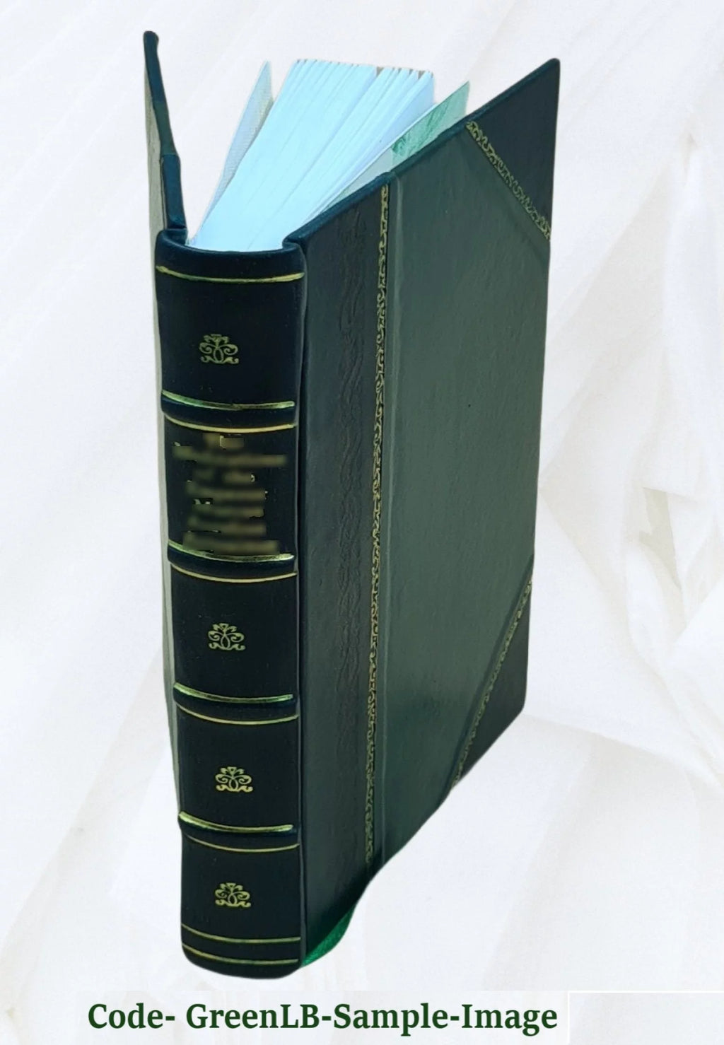 Leather Bound Book J4227