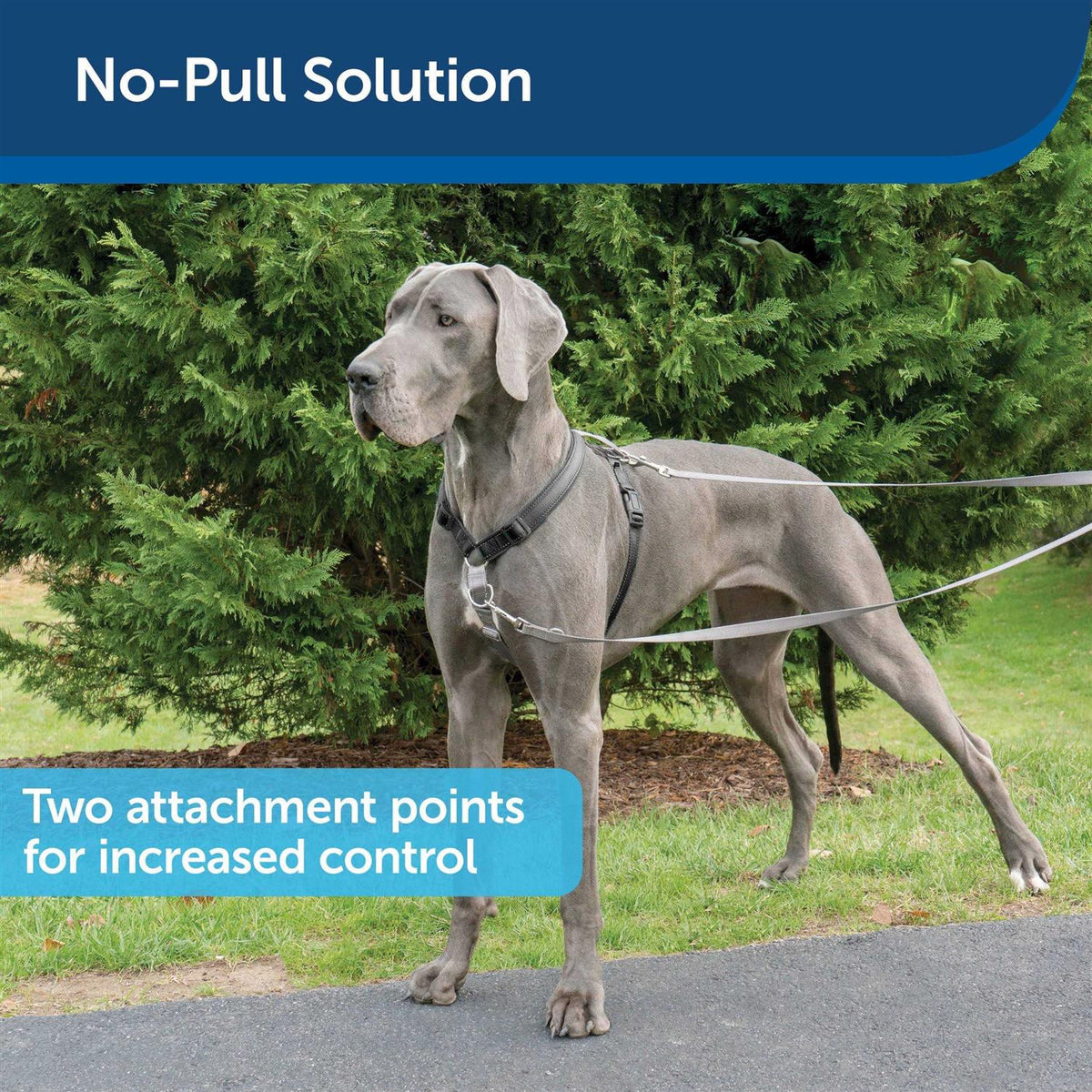 3 in 1 Harness with Leash Z41449