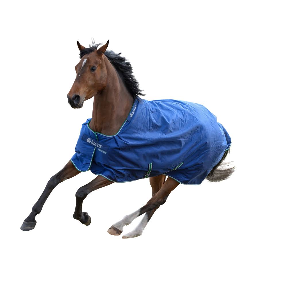 Blue Rain Sheet I496