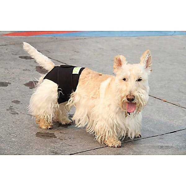 Dog Wrap U47309