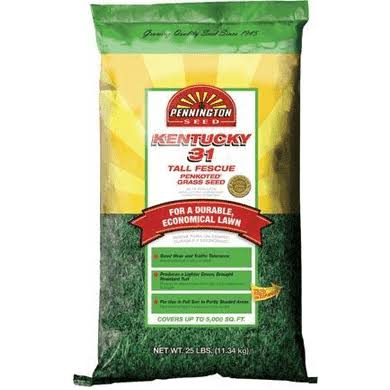 50 lbs. Tall Fescue Grass Seed X70561