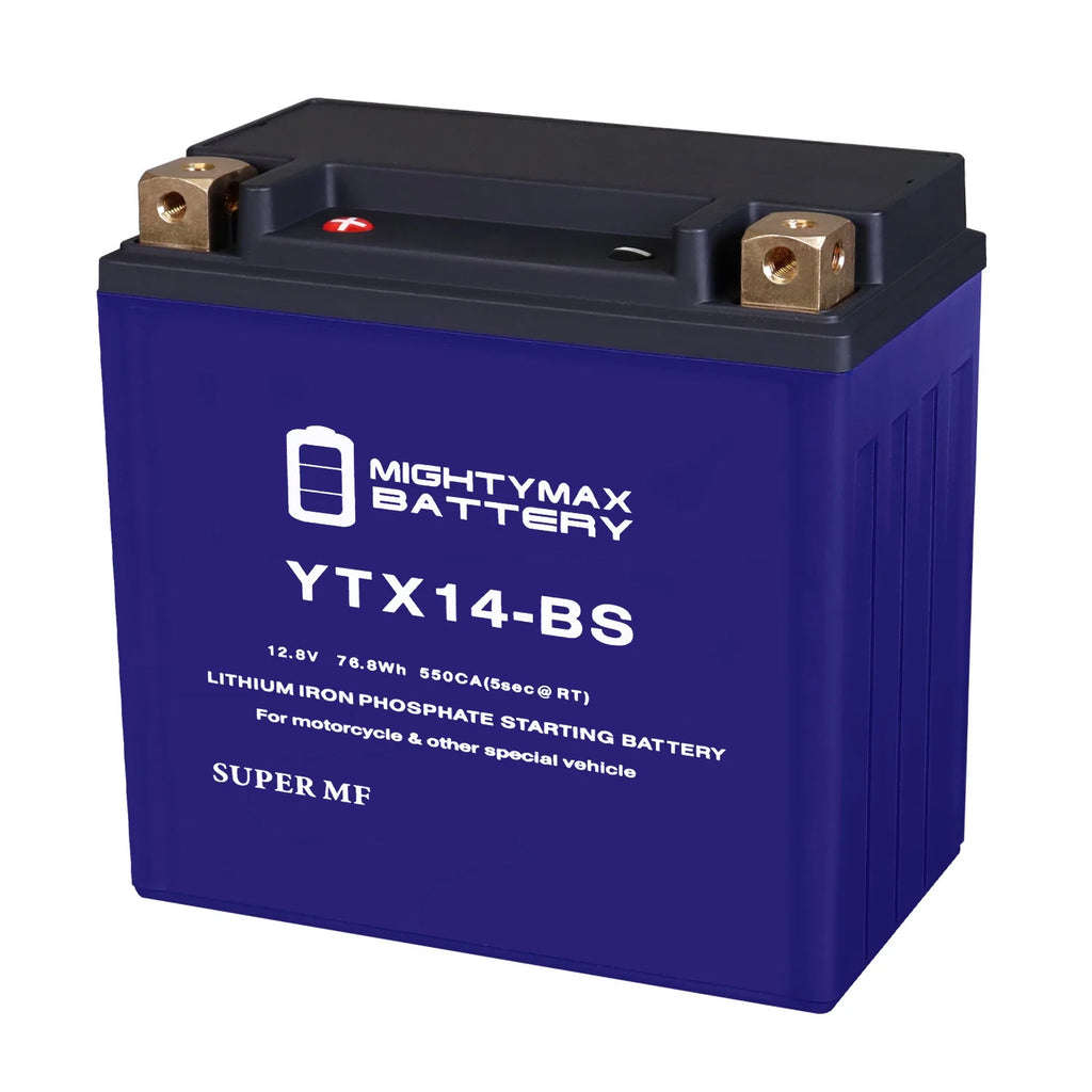 Lithium Replacement Battery V73063