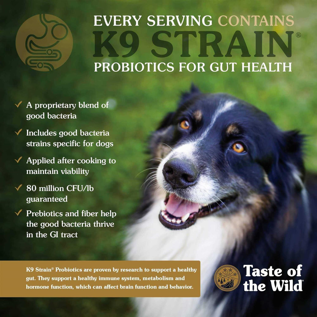 Southwest Canyon Dog Food W6667