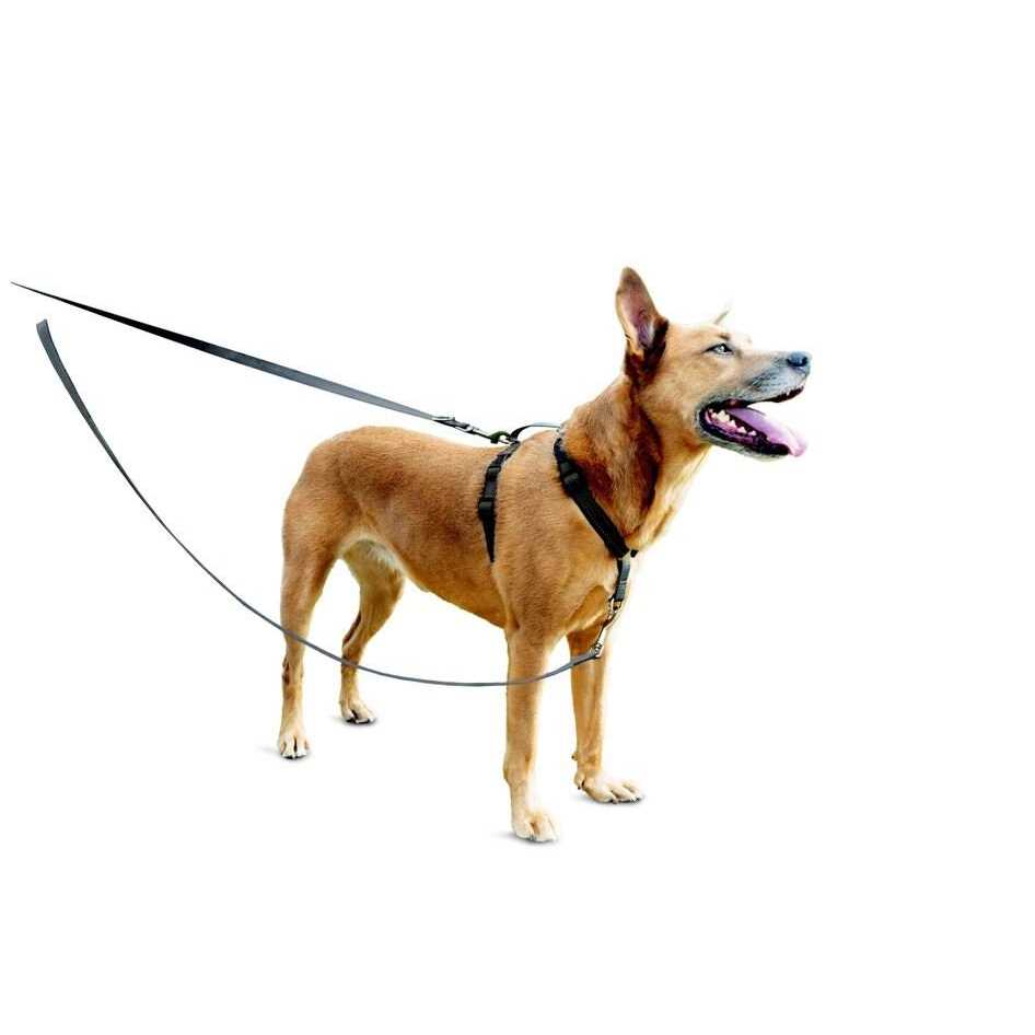 3 in 1 Harness with Leash Z41449
