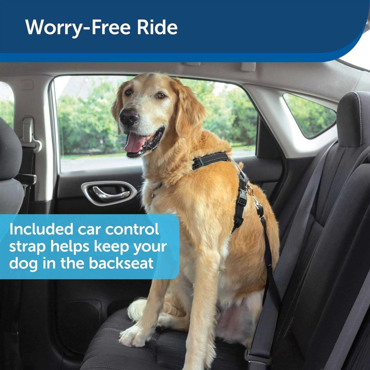 3 in 1 Harness with Leash Z41449