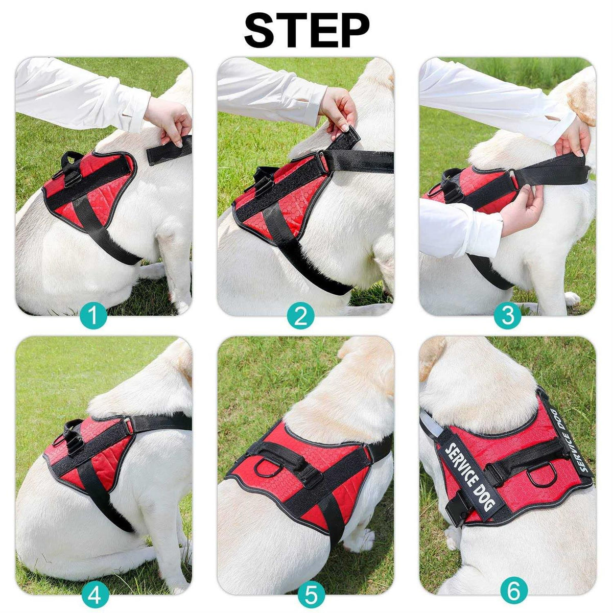 Service Dog Harness X9191