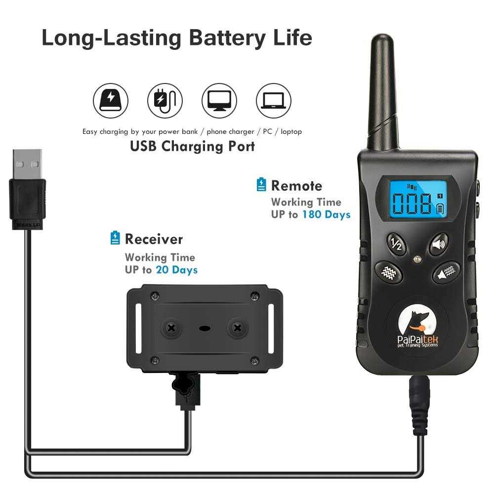 Dog Training Collar with Remote K26038