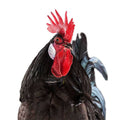 No-Crow Rooster Collar O5719