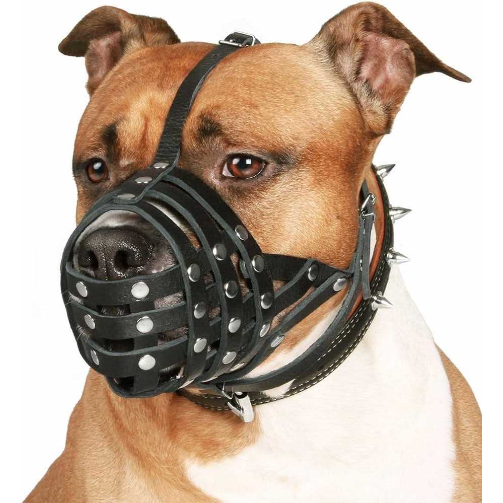 Dog Muzzle Genuine Leather N454445