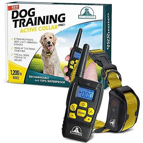 Dog Training Shock Collar with Remote Q34916