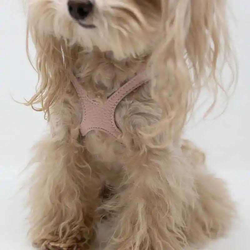 Pebble Grain Harness P797