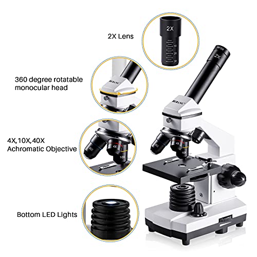 100X-2000X Compound Microscope with Microscope Slides A60401