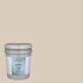 Interior Paint (5-Gallon) O98582