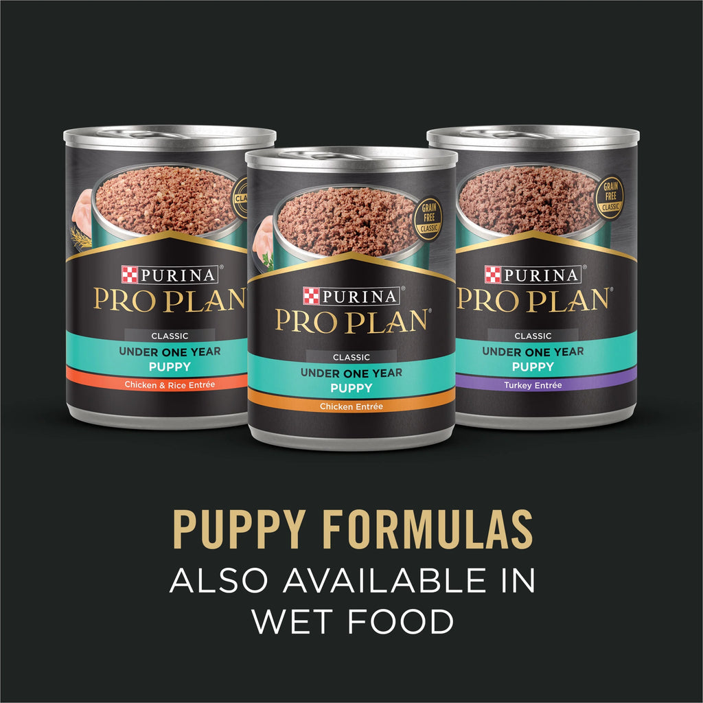 Sensitive Skin and Stomach Puppy Food Lamb and Oat Meal 24 lb. Bag G579431