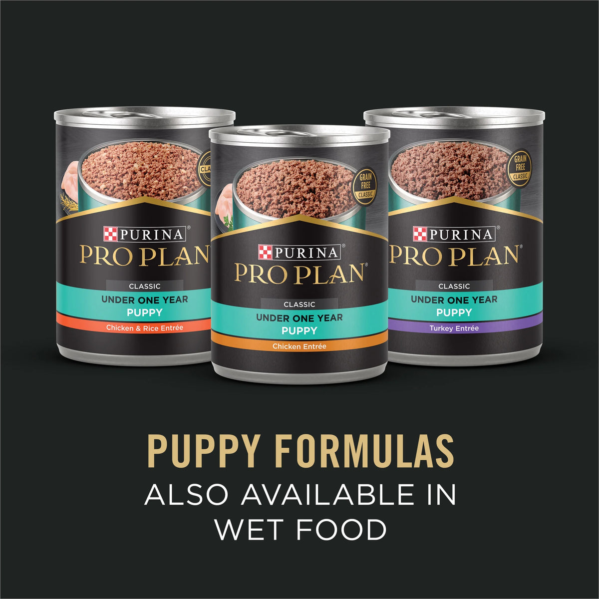 Sensitive Skin and Stomach Puppy Food Lamb and Oat Meal 24 lb. Bag G579431