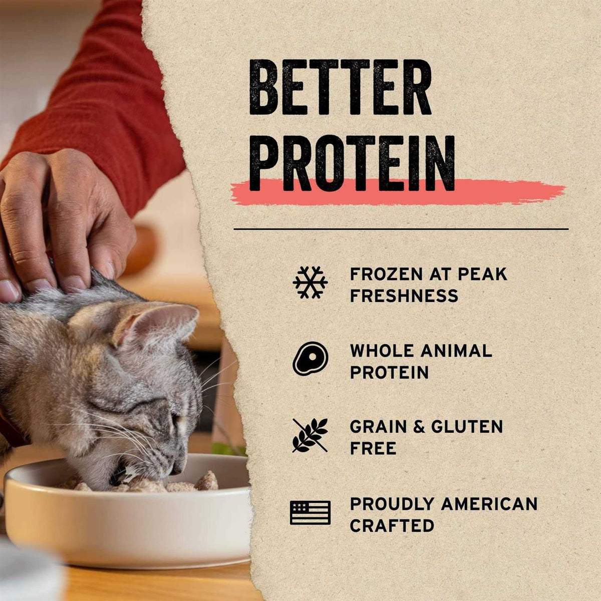 Freeze-Dried Minnows Cat Treats G594