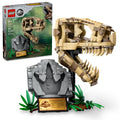 Dinosaur Fossils T. rex Skull Skeleton Model Set G23984