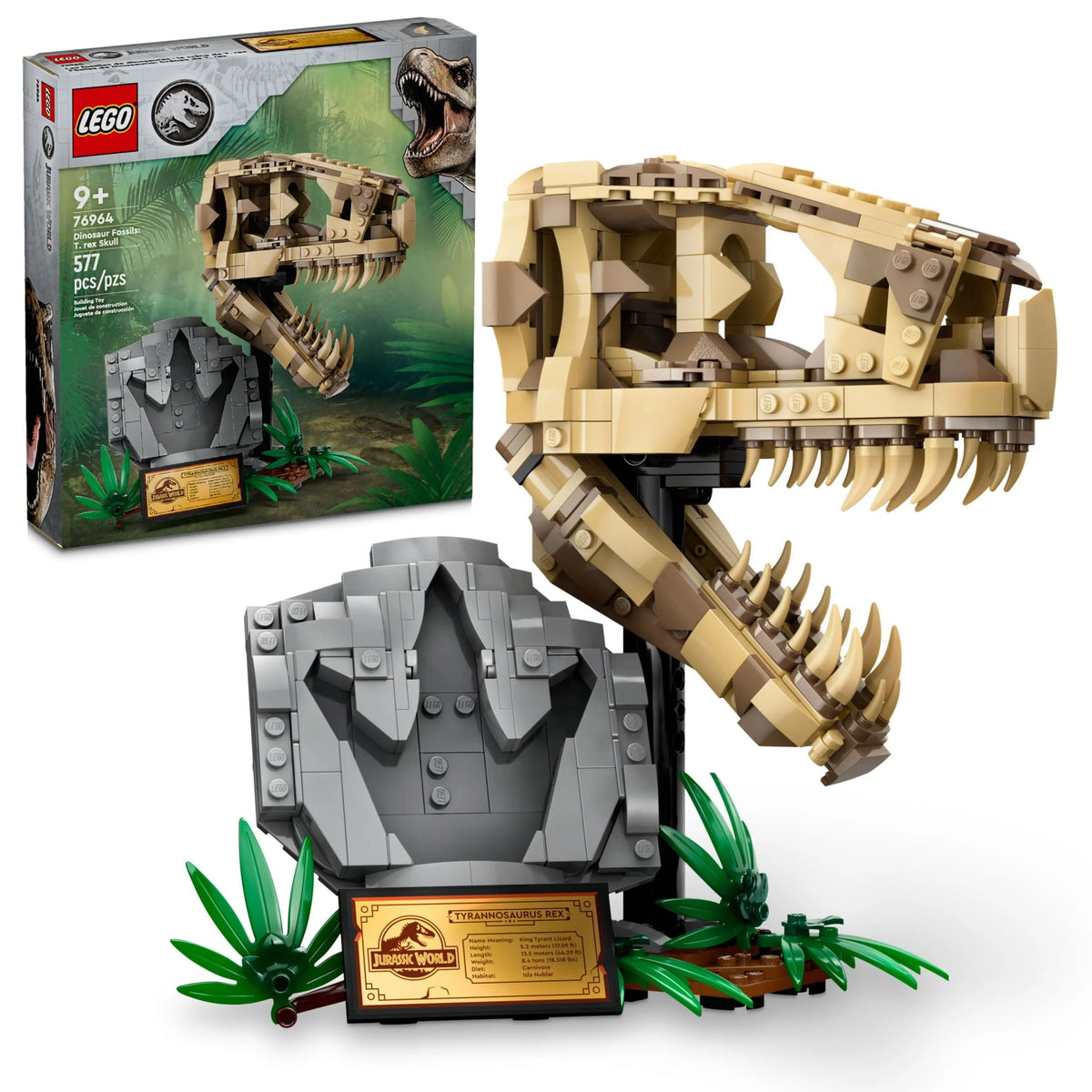 Dinosaur Fossils T. rex Skull Skeleton Model Set G23984
