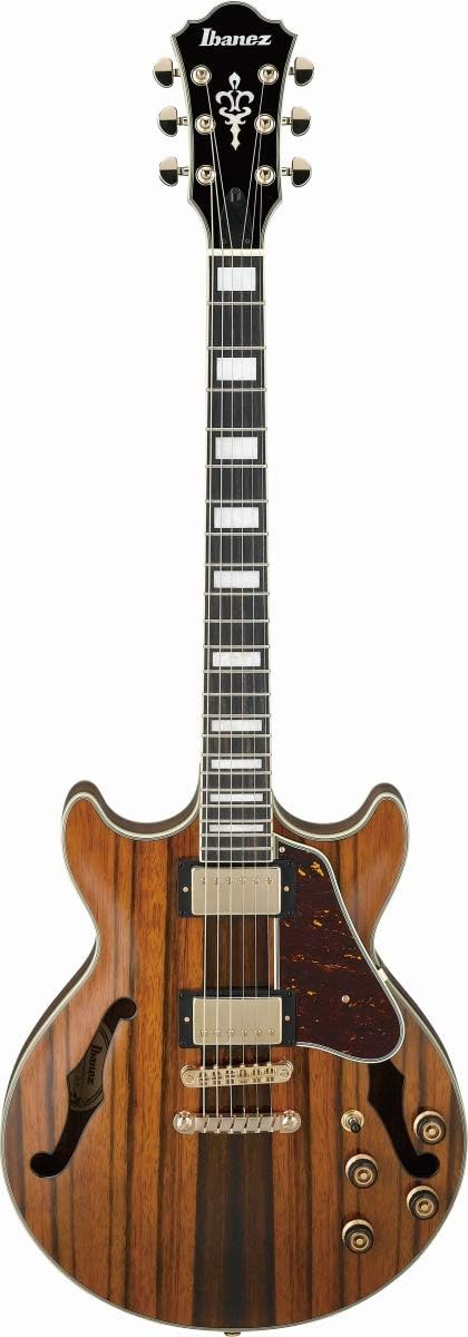 Macassar Ebony Semi-Hollow Body Electric Guitar O393