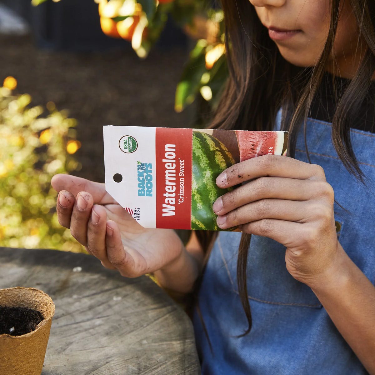Organic Crimson Sweet Watermelon Fruit Seeds, 1 Seed Packet I137630