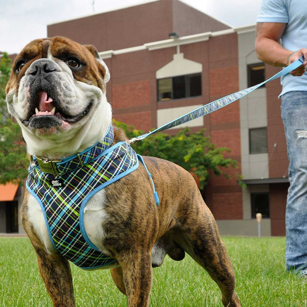 Adjustable Dog Harness G88368