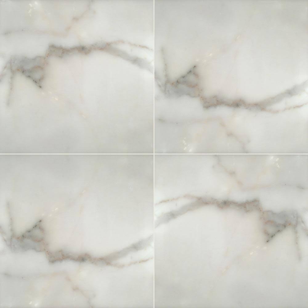 12 in. x 12 in. Honed Marble Floor and Wall Tile N957137