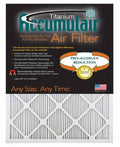 4 Pack 1-Inch Filter I457