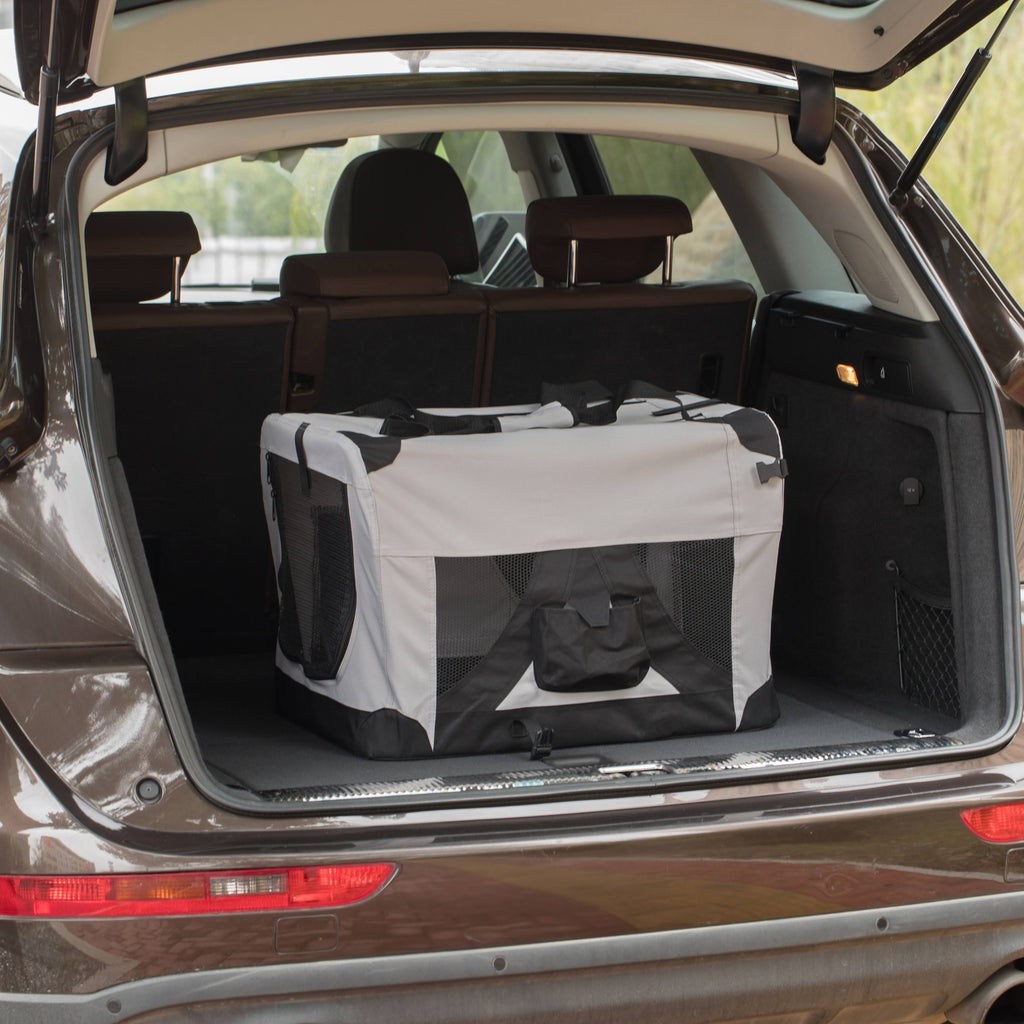 Soft-Sided Mesh Pet Travel Carrier W52766