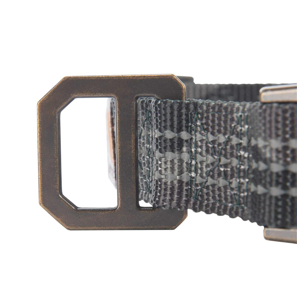 Dog Collar B170751