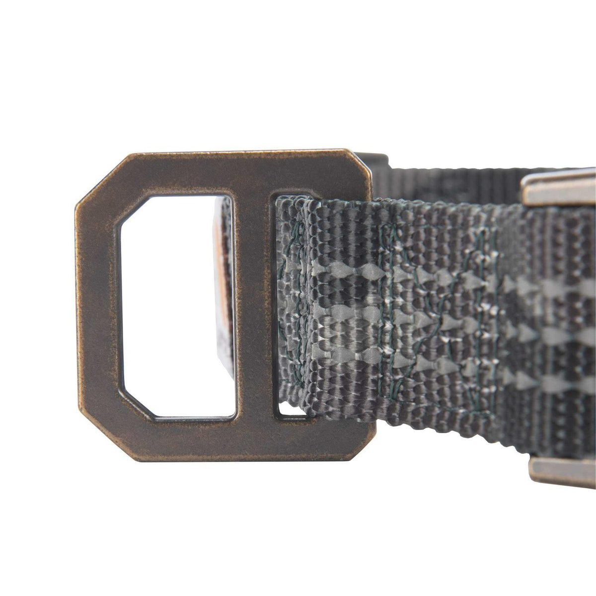 Dog Collar B170751