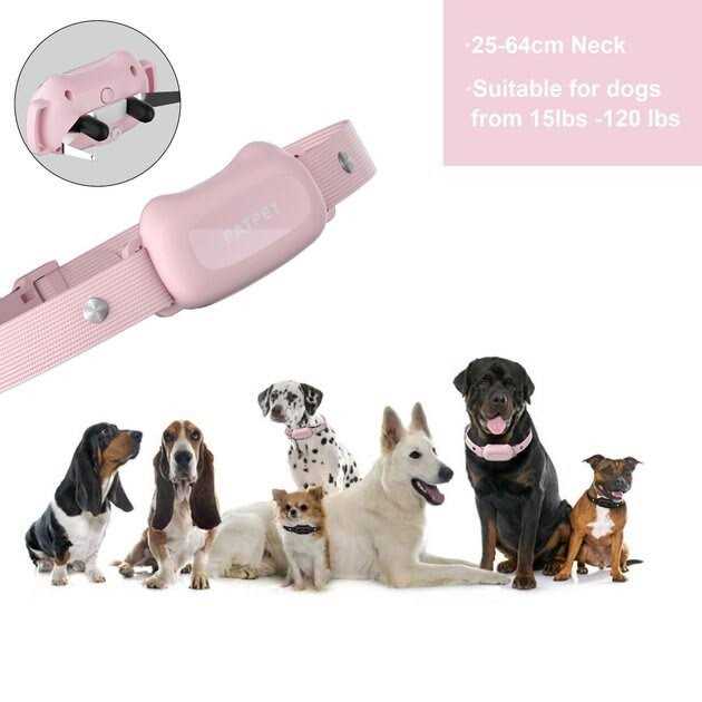 Remote Dog Training Collar S436