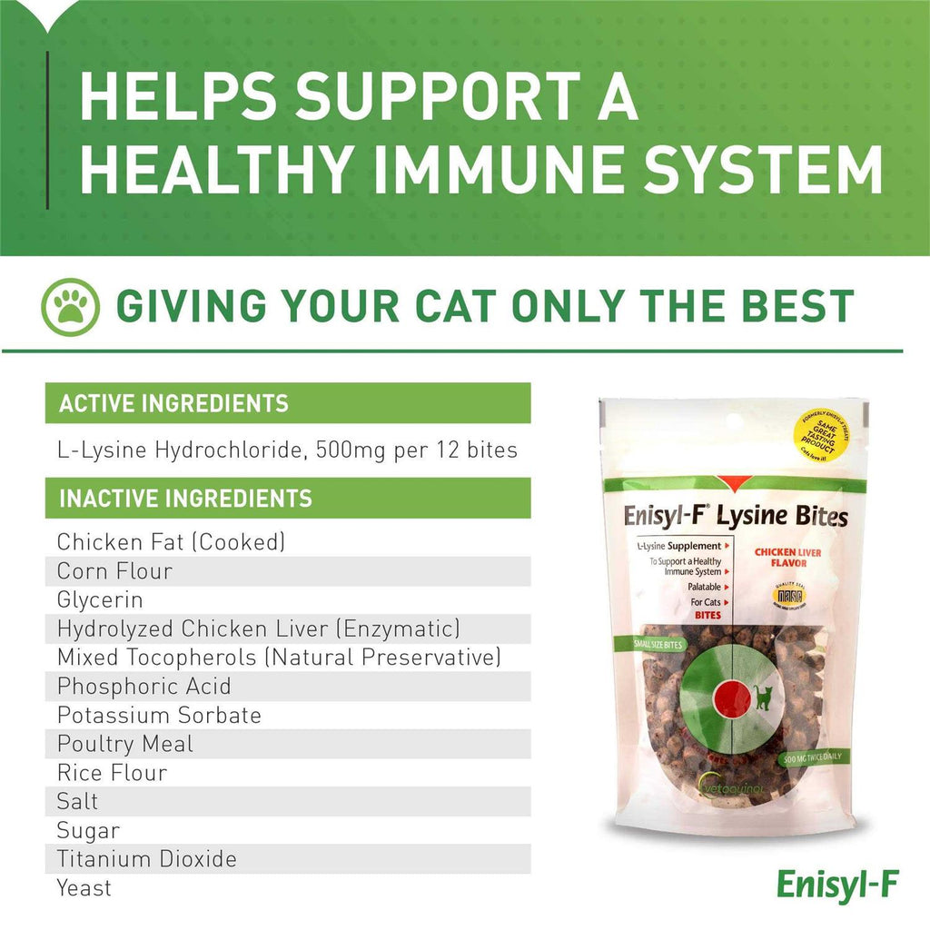L-Lysine Chews for Cats Y267959