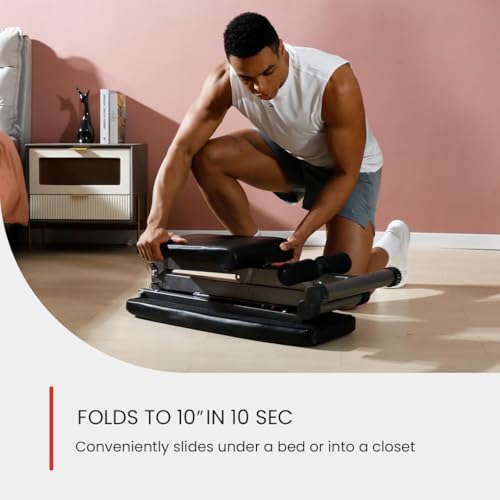 Adjustable Foldable Weight Bench Y36676